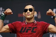 Фергюсон нокаутировал Себи и защитил пояс Misfits Boxing - «Бокс и ММА»